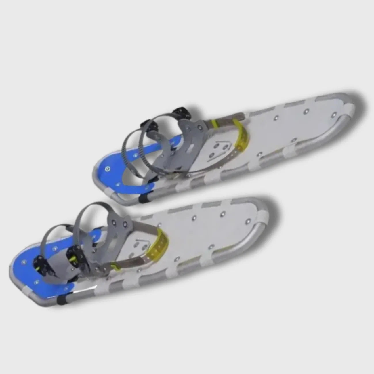 Raquette Neige Randonnée