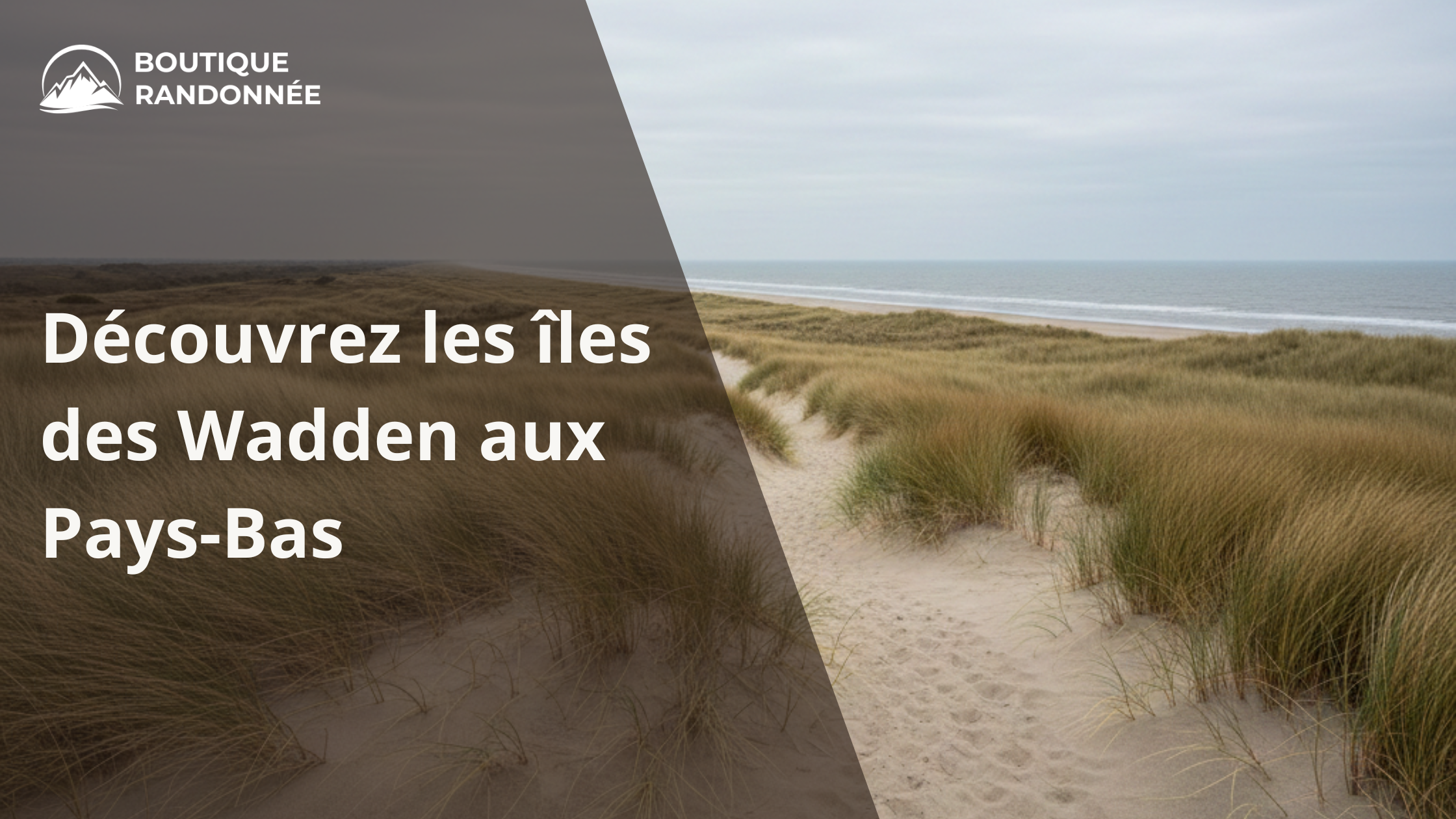 Découvrez les îles des Wadden aux Pays-Bas