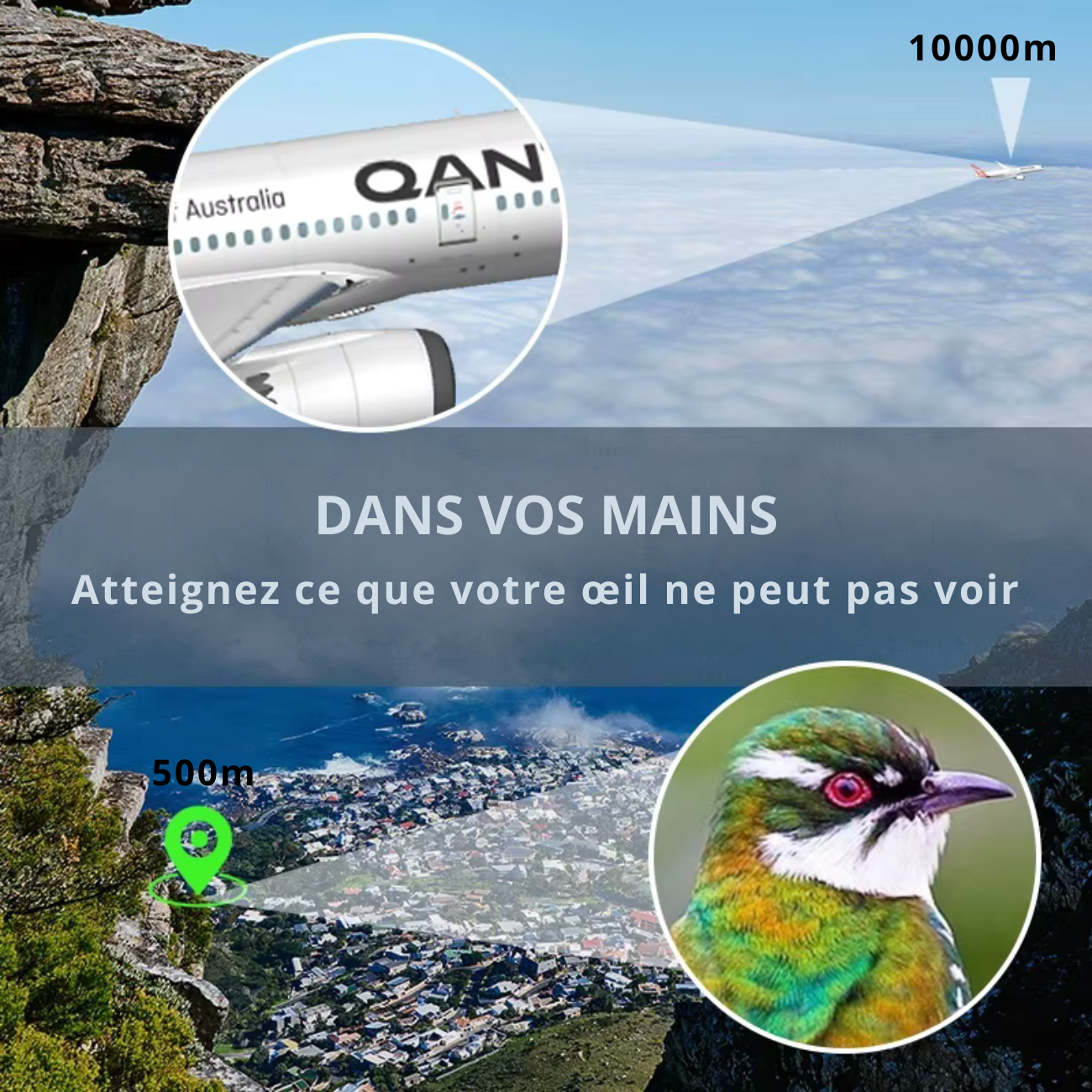 Jumelles pour Randonnée 80X80 HD