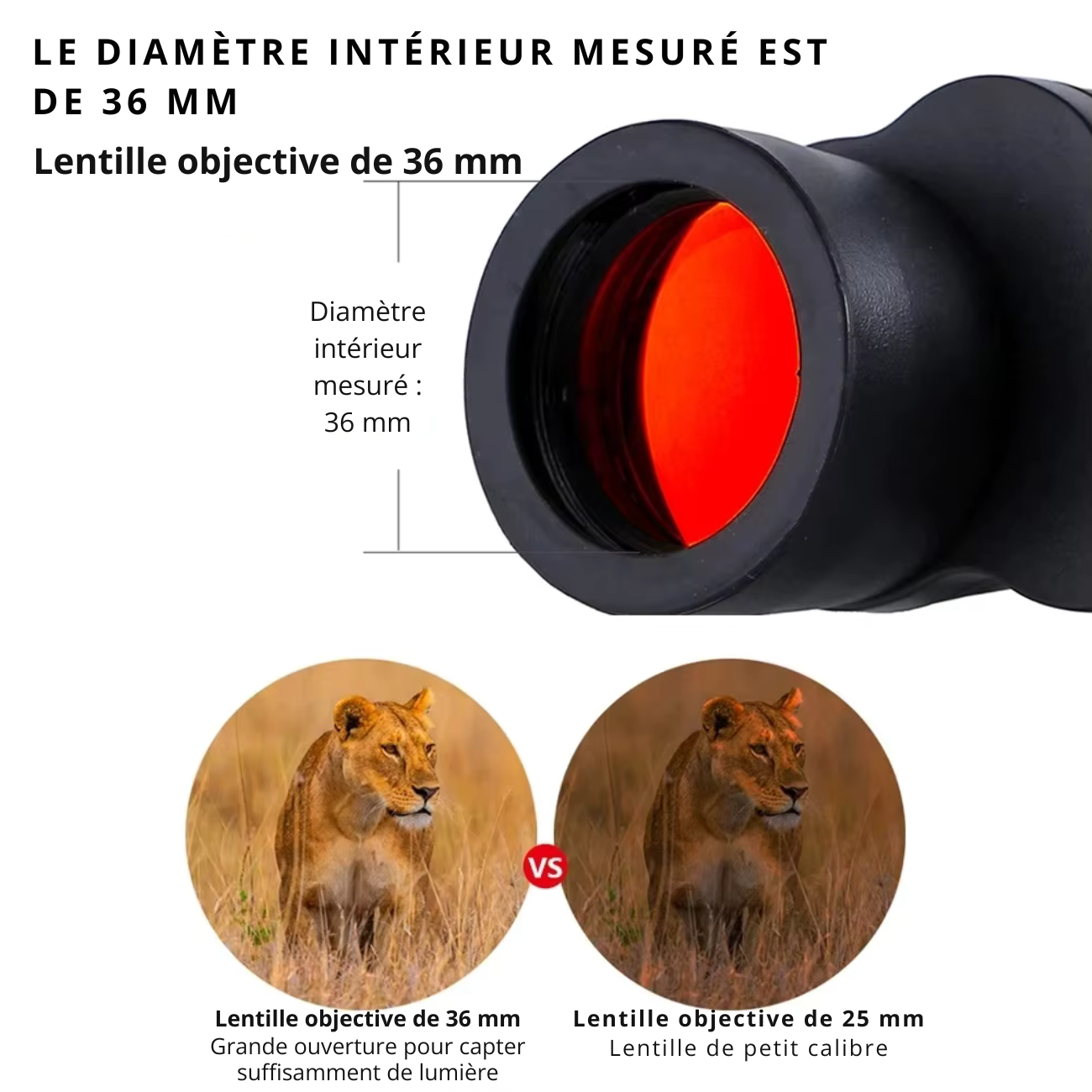 Jumelles pour Randonnée 80X80 HD