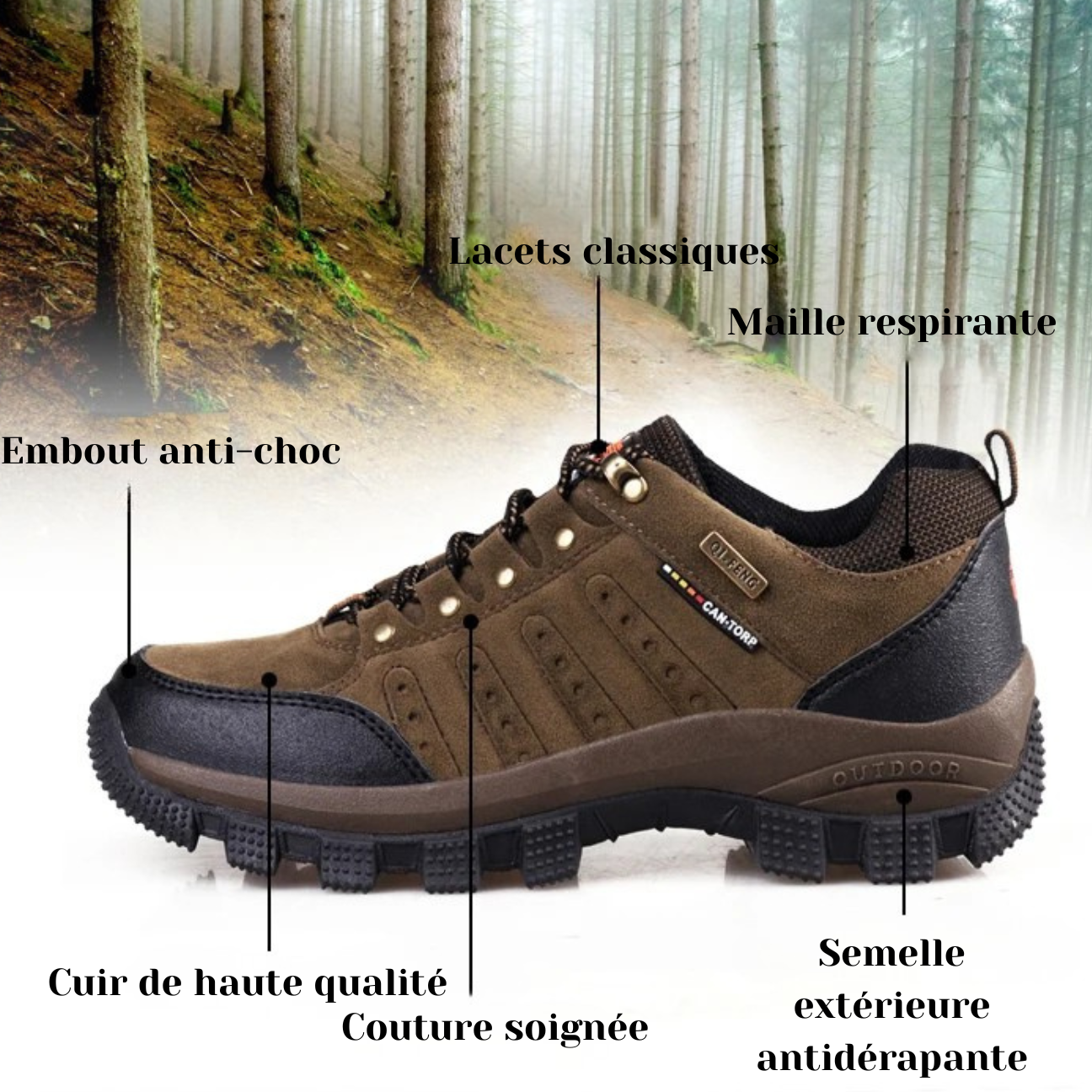 Chaussures de Randonnée Montagne