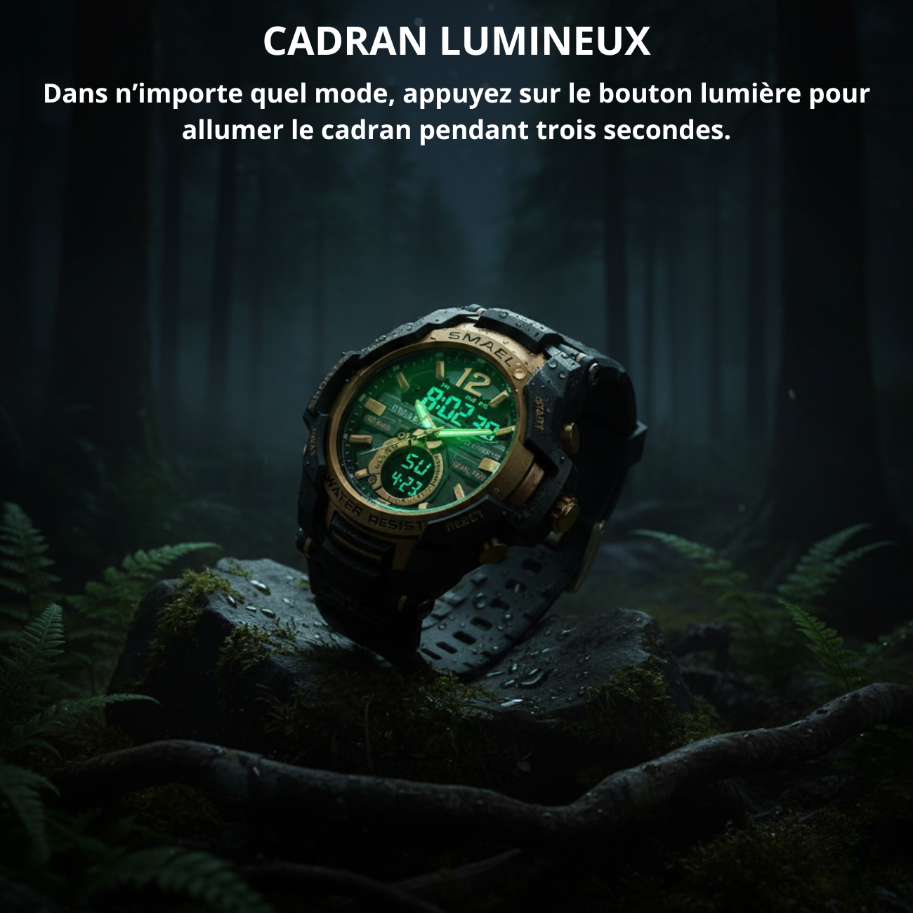 Montre de Randonnée