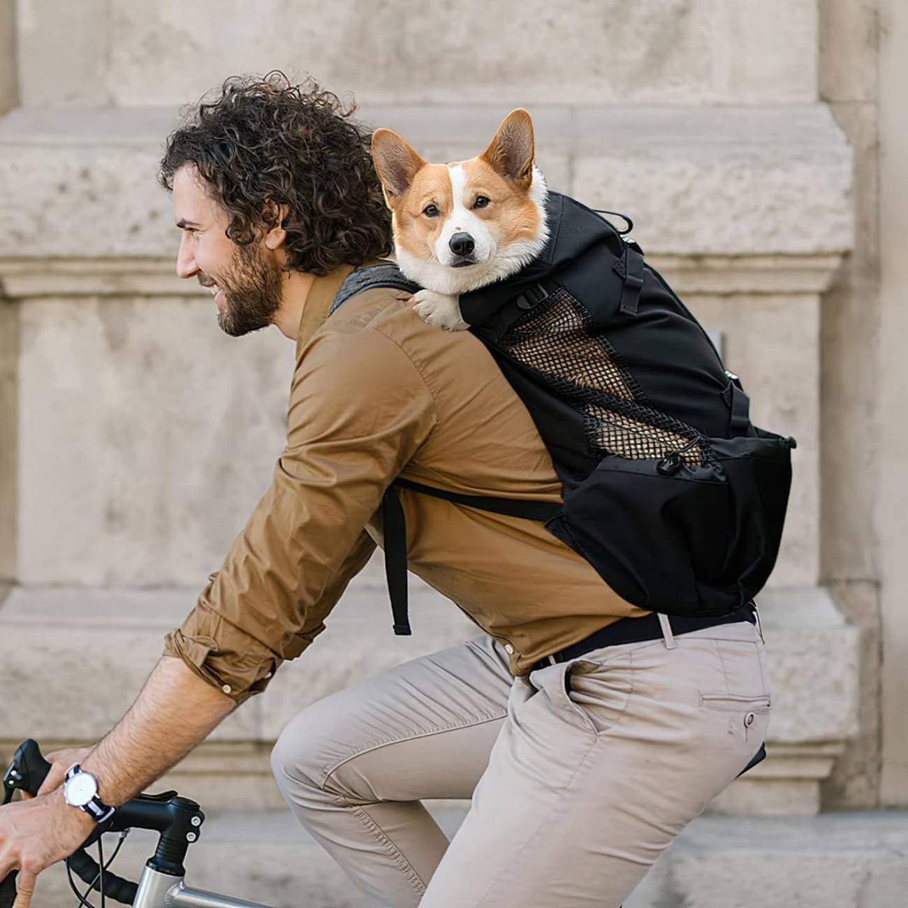 Sac Porte Chien Randonnée