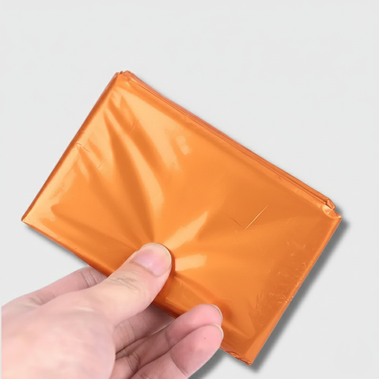 Couverture de Survie Randonnée