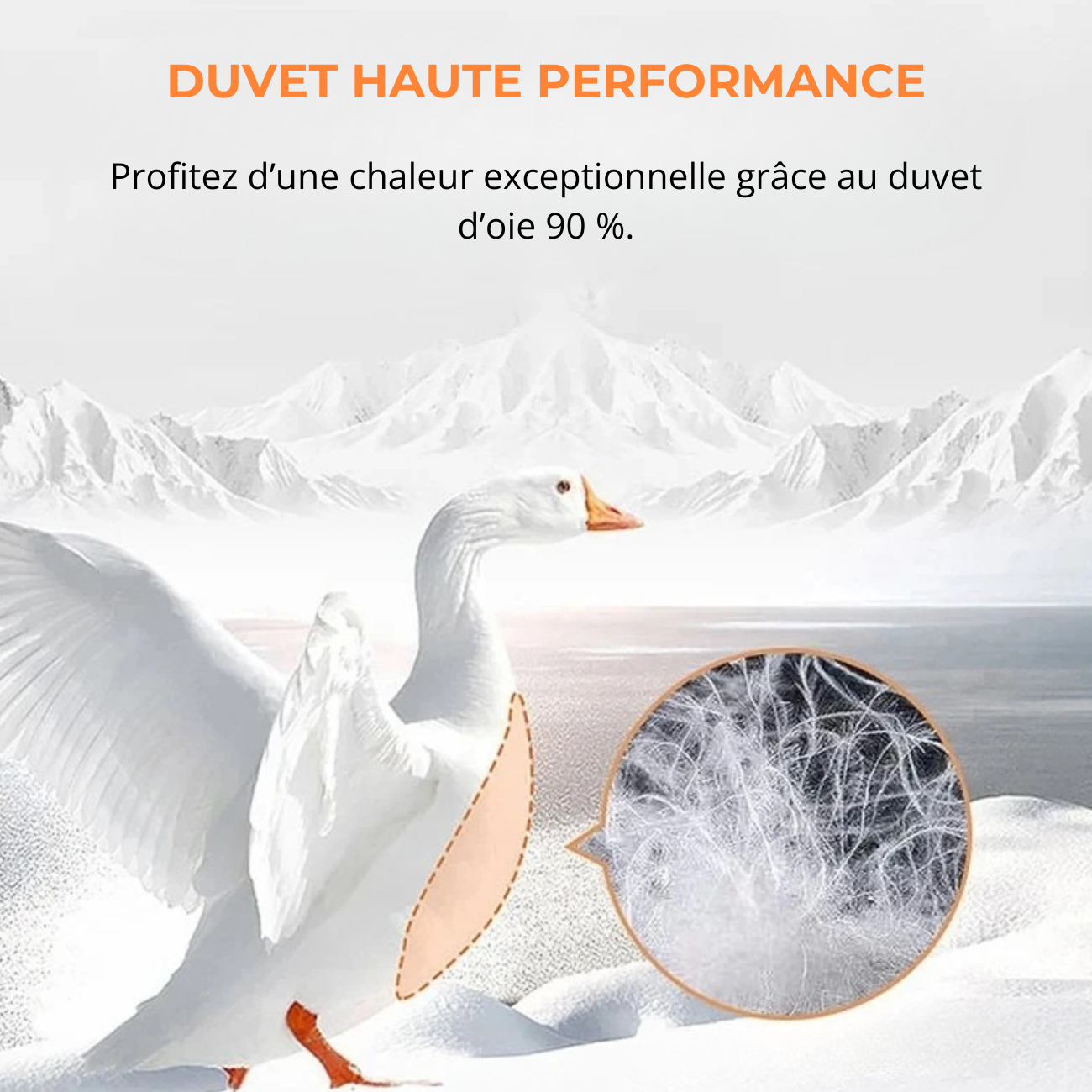 Sac de Couchage Camping Adulte