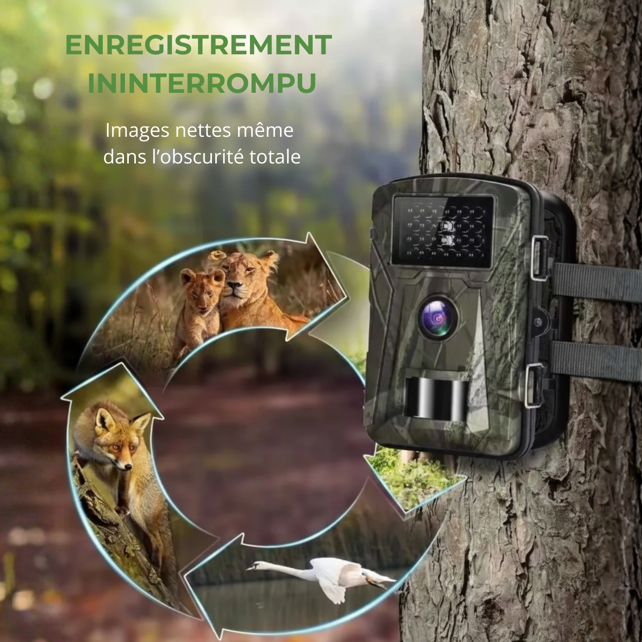 Caméra de Chasse Waterproof