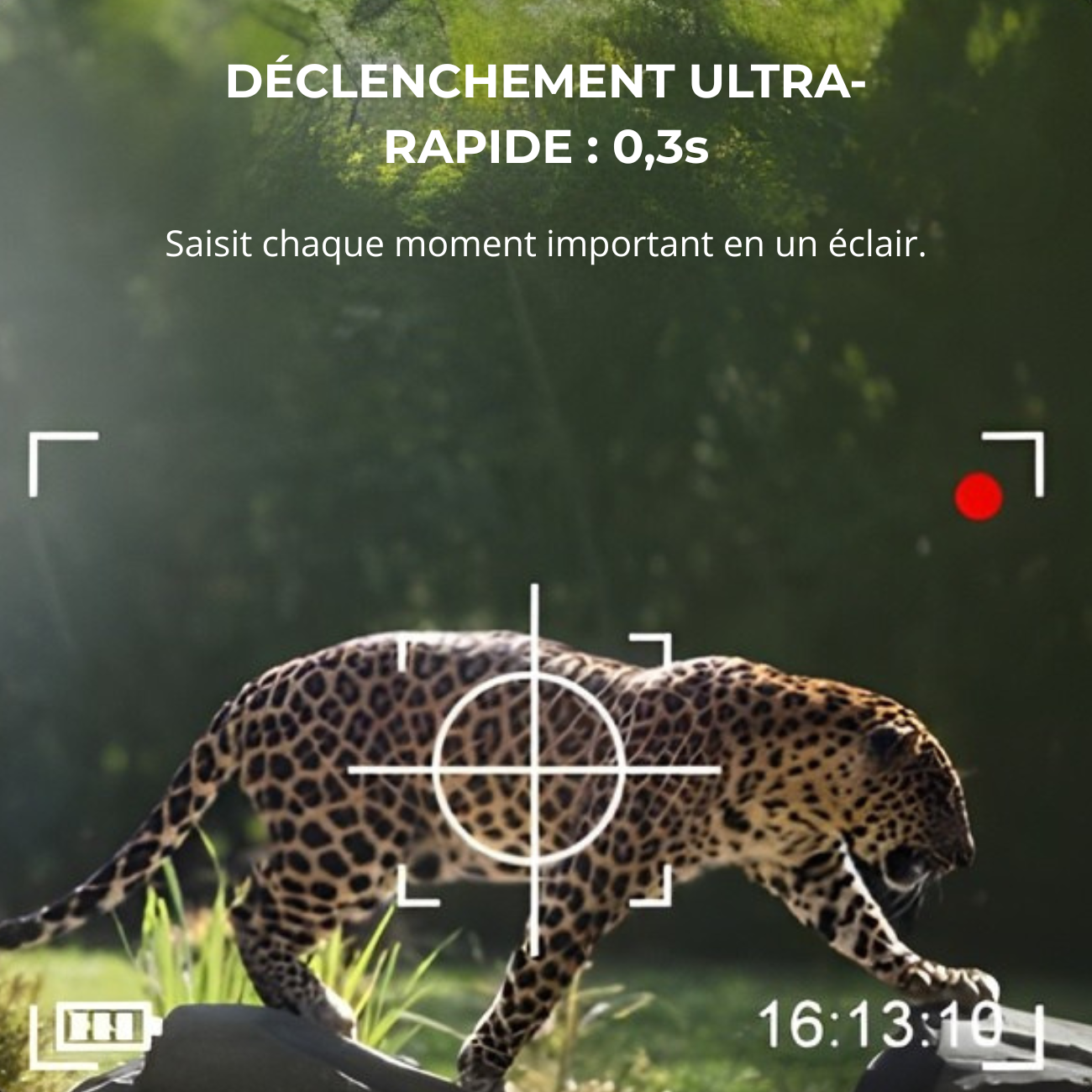 Caméra de Chasse avec Panneau Solaire