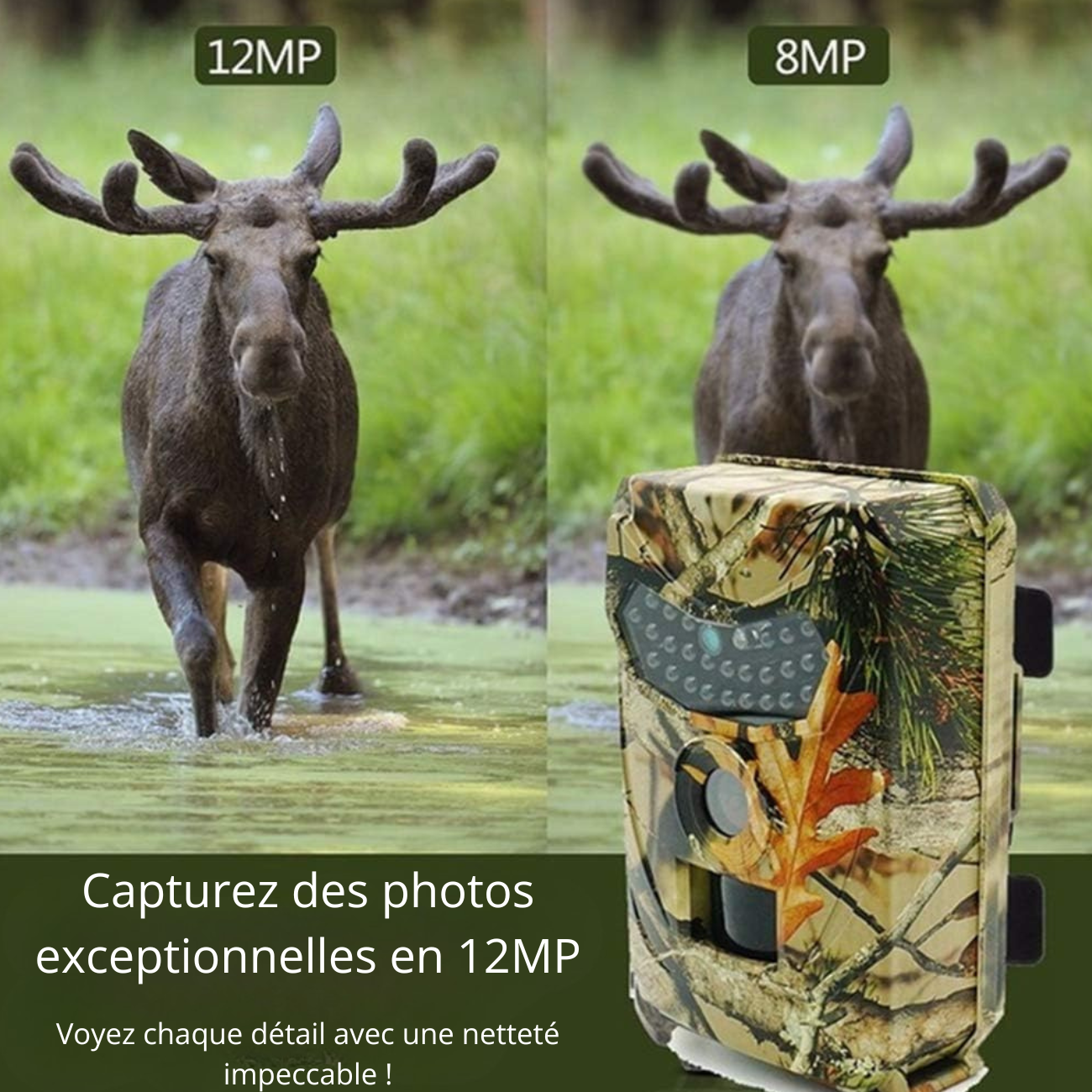 Caméra de Chasse 12MP HD