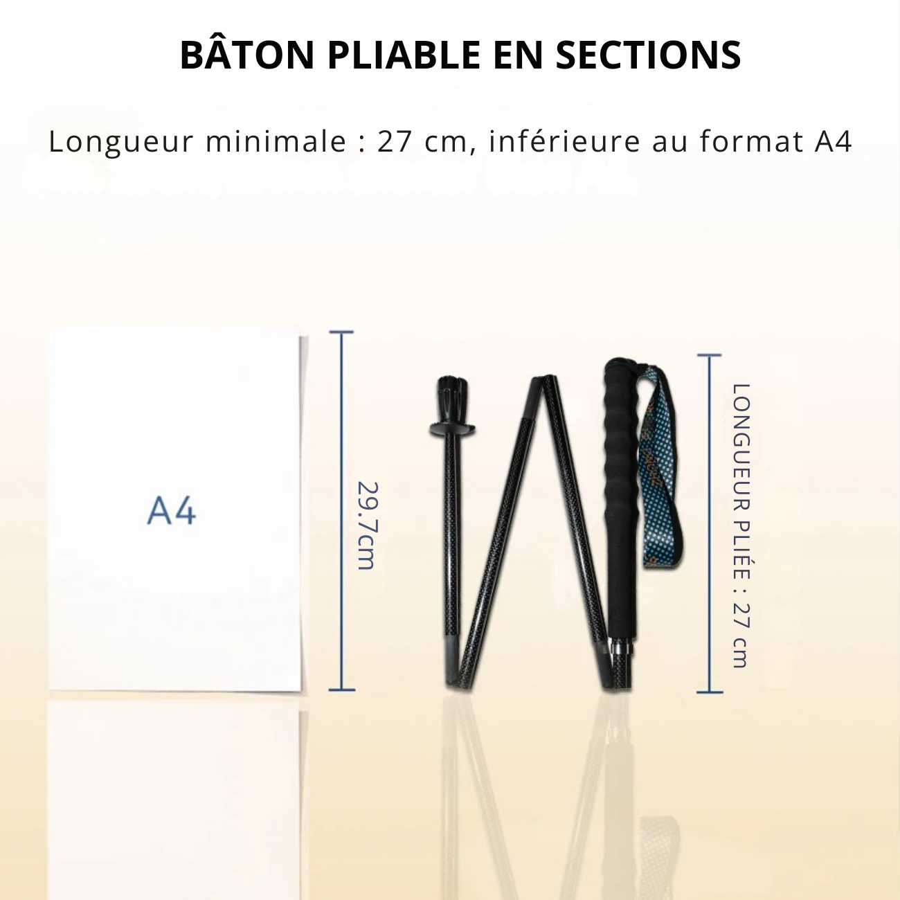 Bâtons de Randonnée en Fibre de Carbone