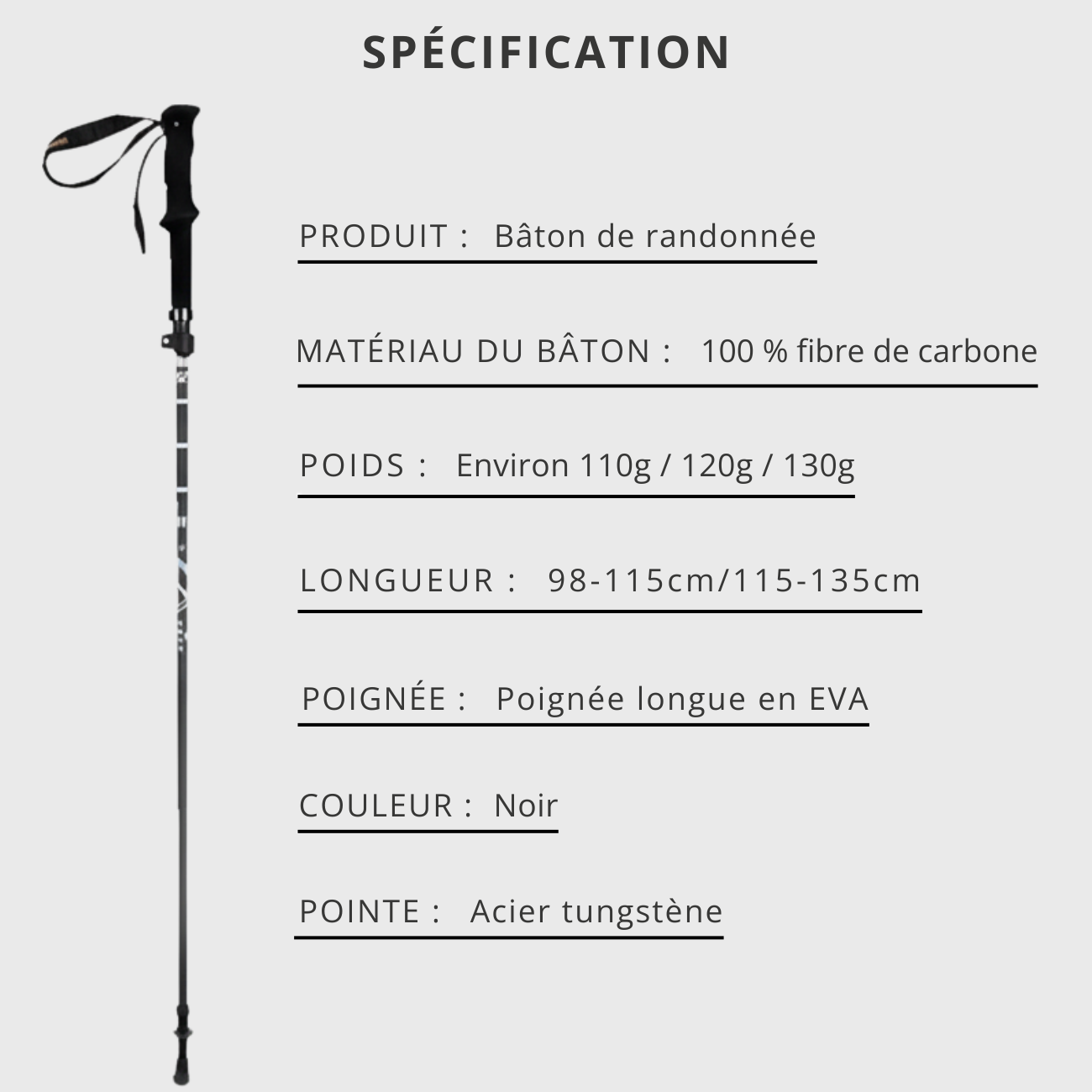 Bâtons de Randonnée en Fibre de Carbone