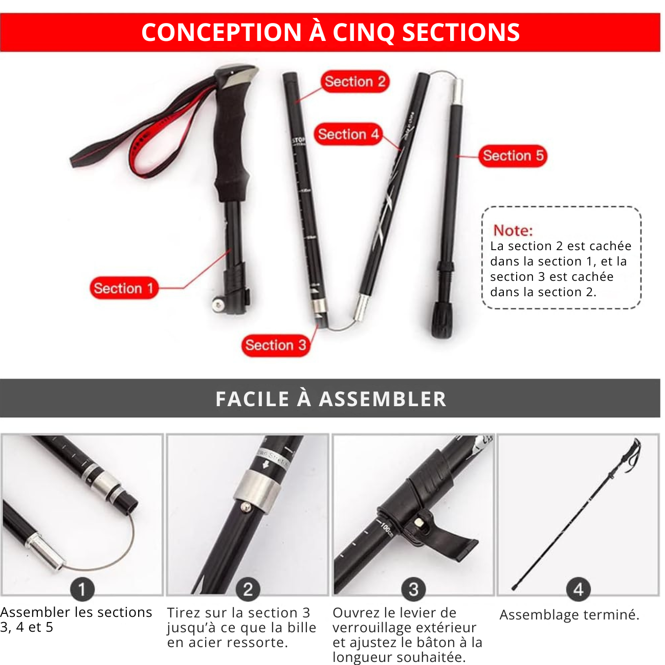 Bâtons de Marche Randonnée