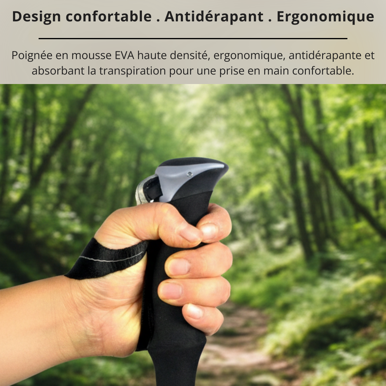 Bâton de Marche Trek Portable