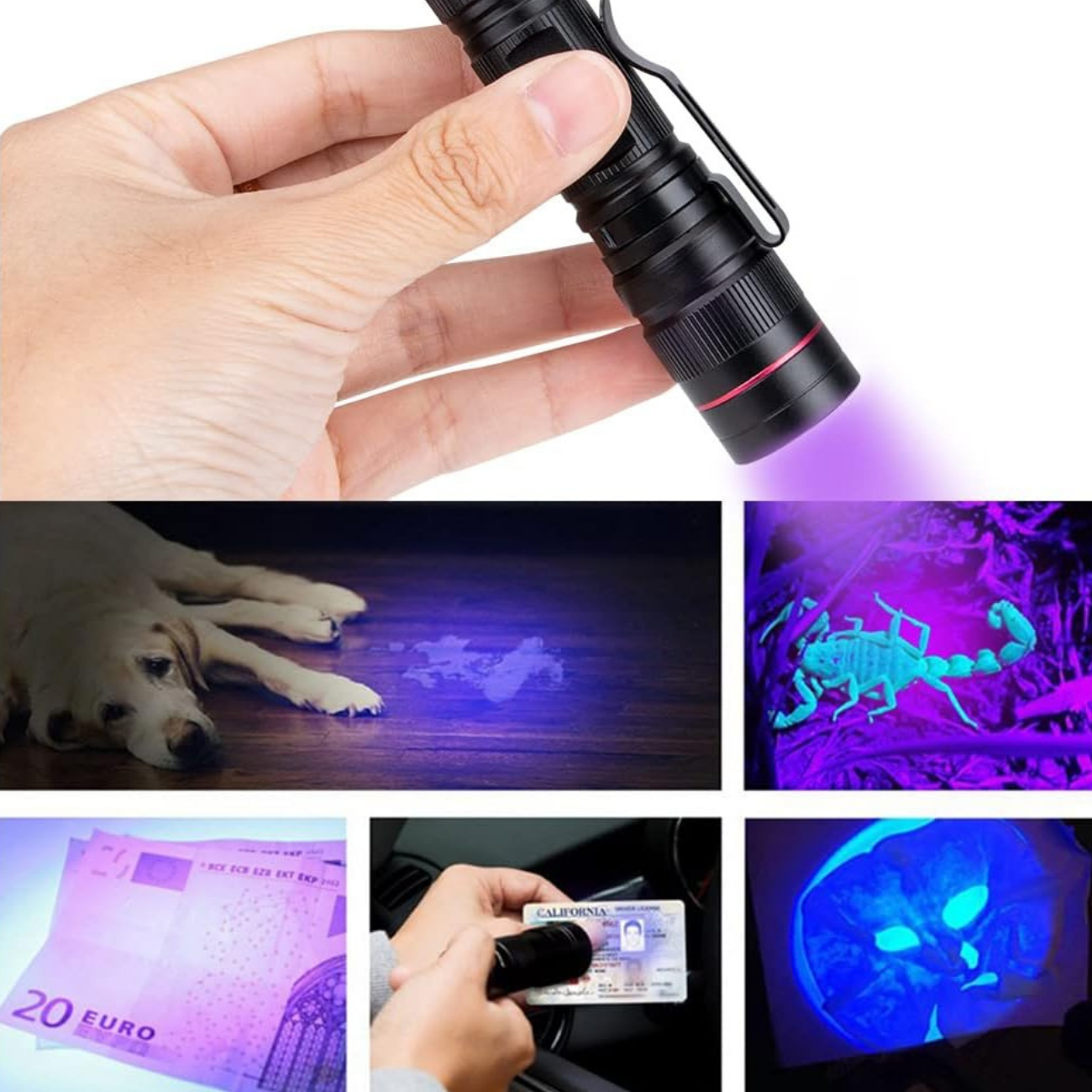 Lampe Torche Rechargeable