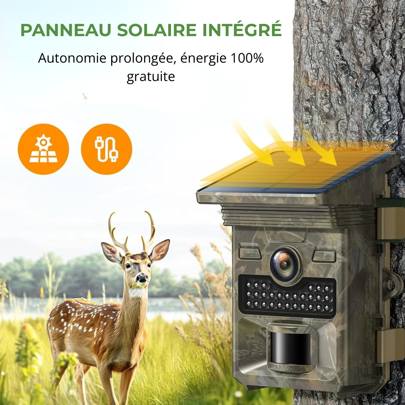 Caméra de Chasse avec Panneau Solaire