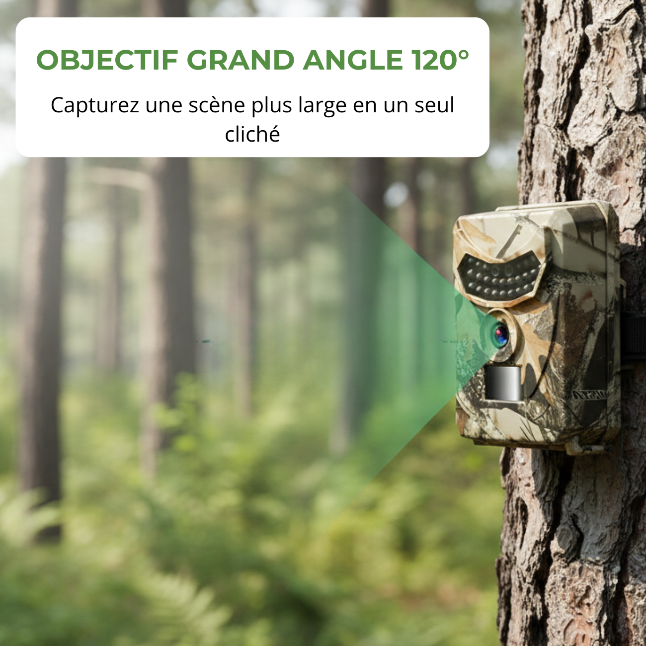 Caméra de Chasse avec Panneau Solaire