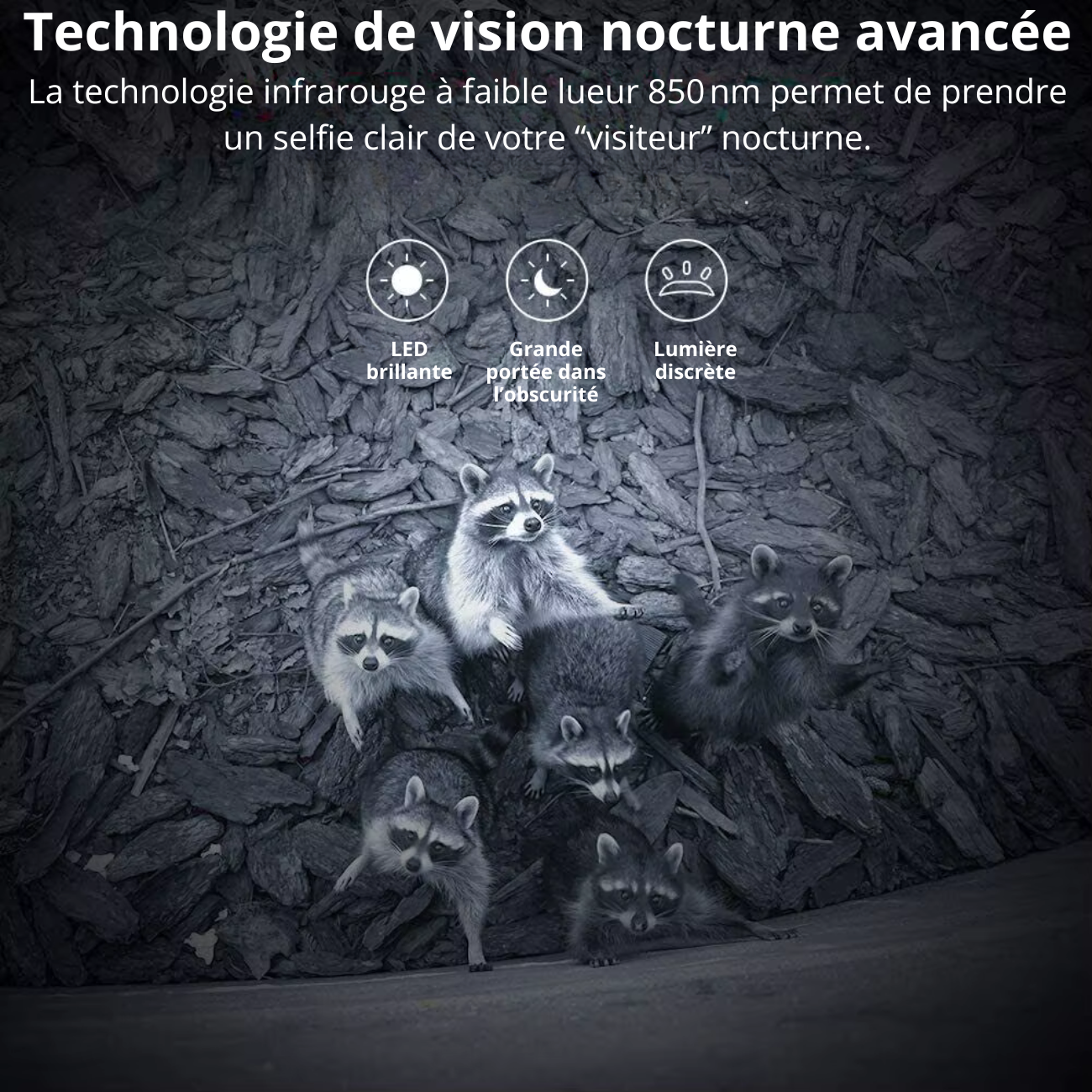 Mini Caméra de Chasse