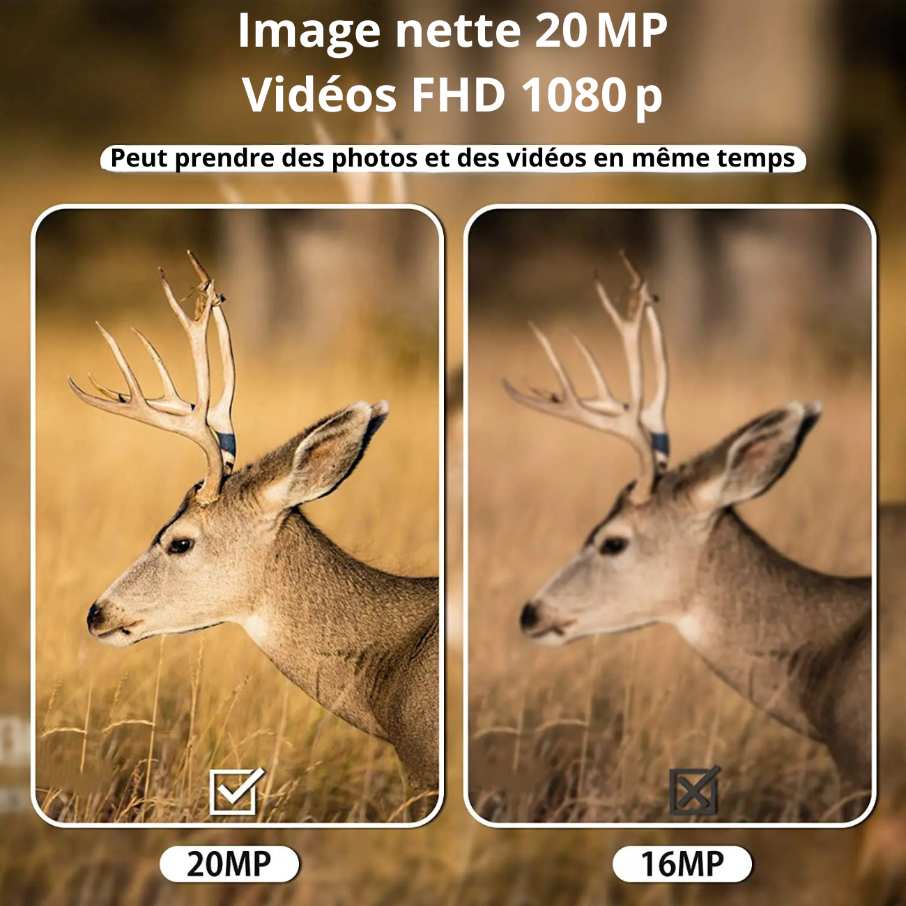 Mini Caméra de Chasse