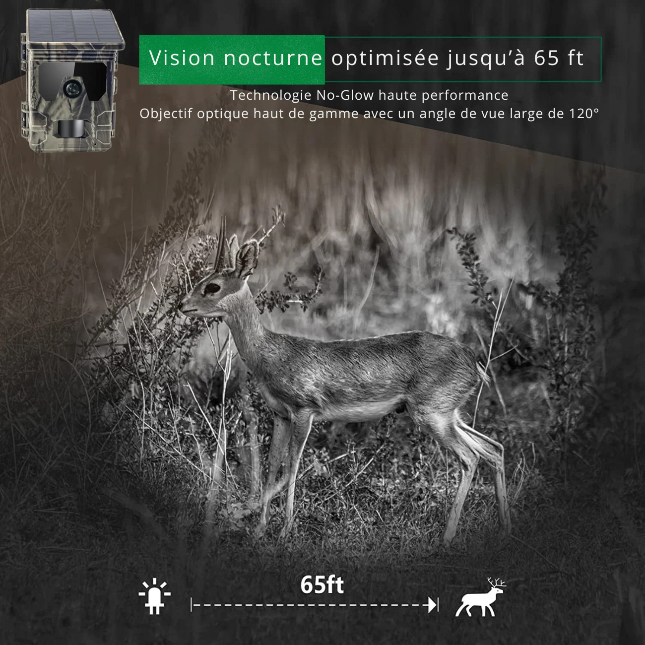 Caméra de Chasse Solaire