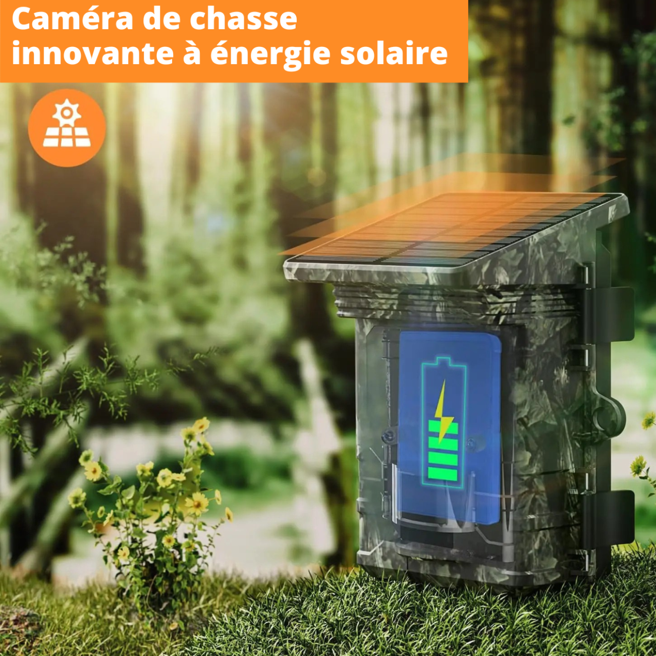 Caméra de Chasse Solaire