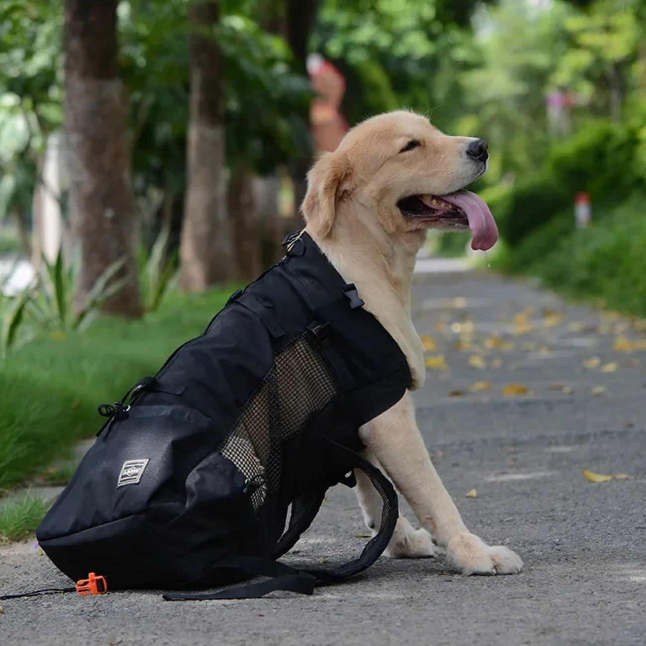 Sac Porte Chien Randonnée