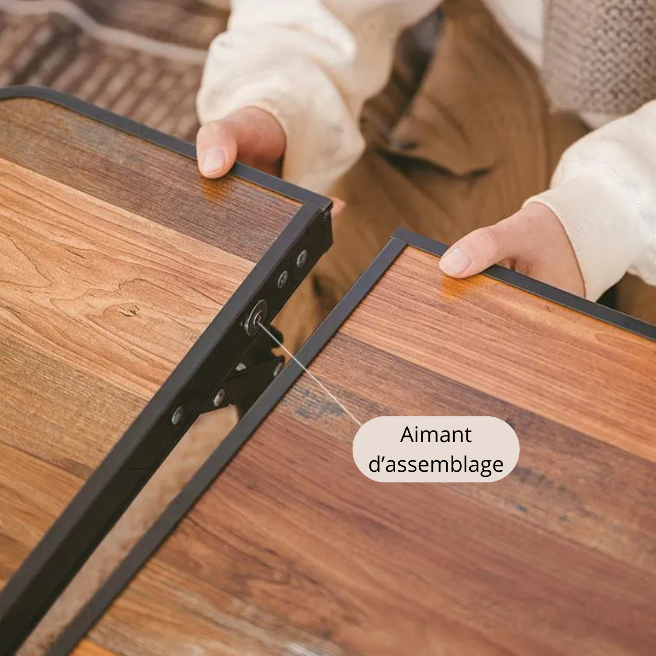 Table Pliante Portable Camping