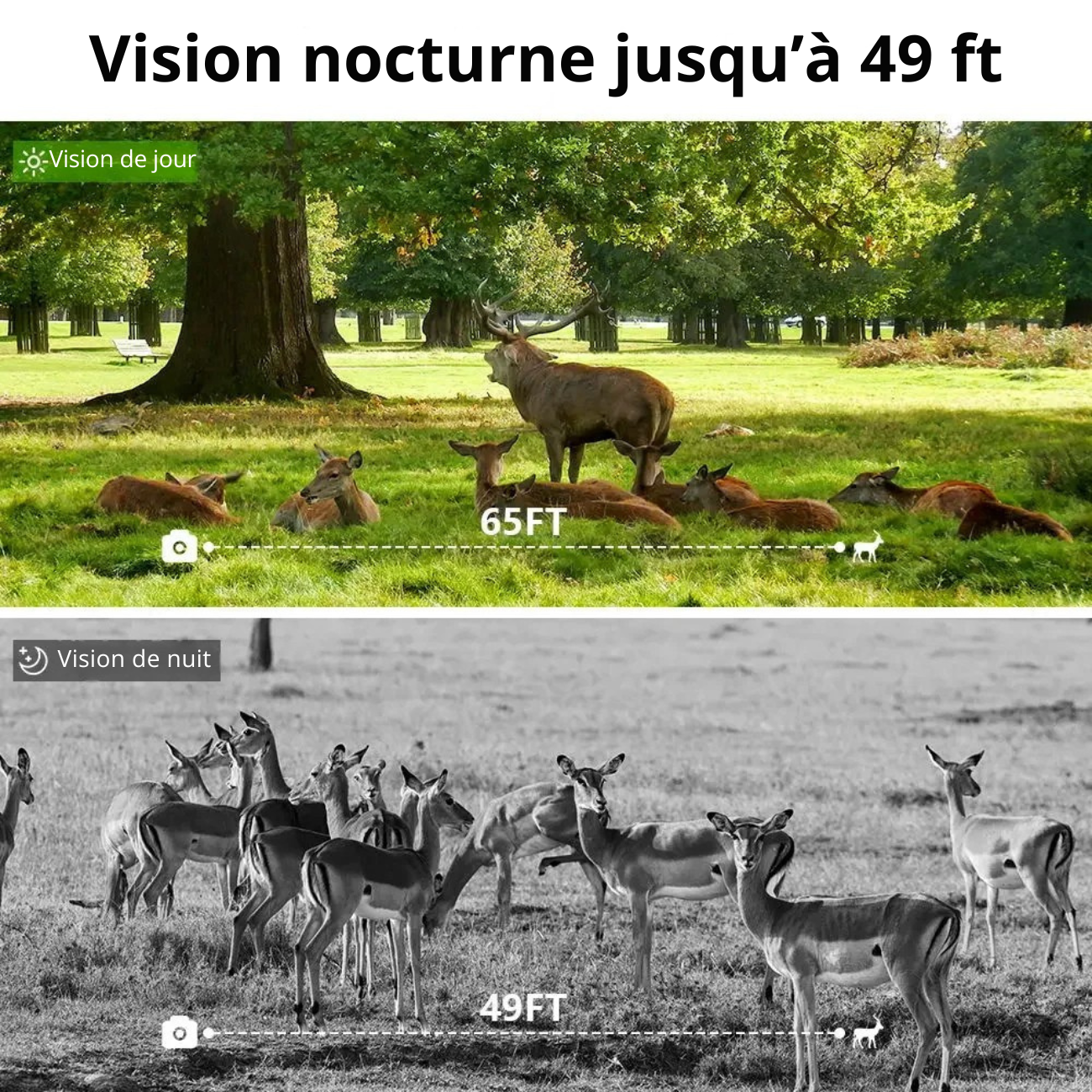 Caméra de Chasse Ultra HD