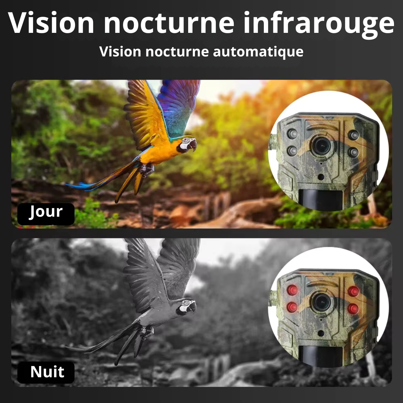 Caméra de Chasse 4G