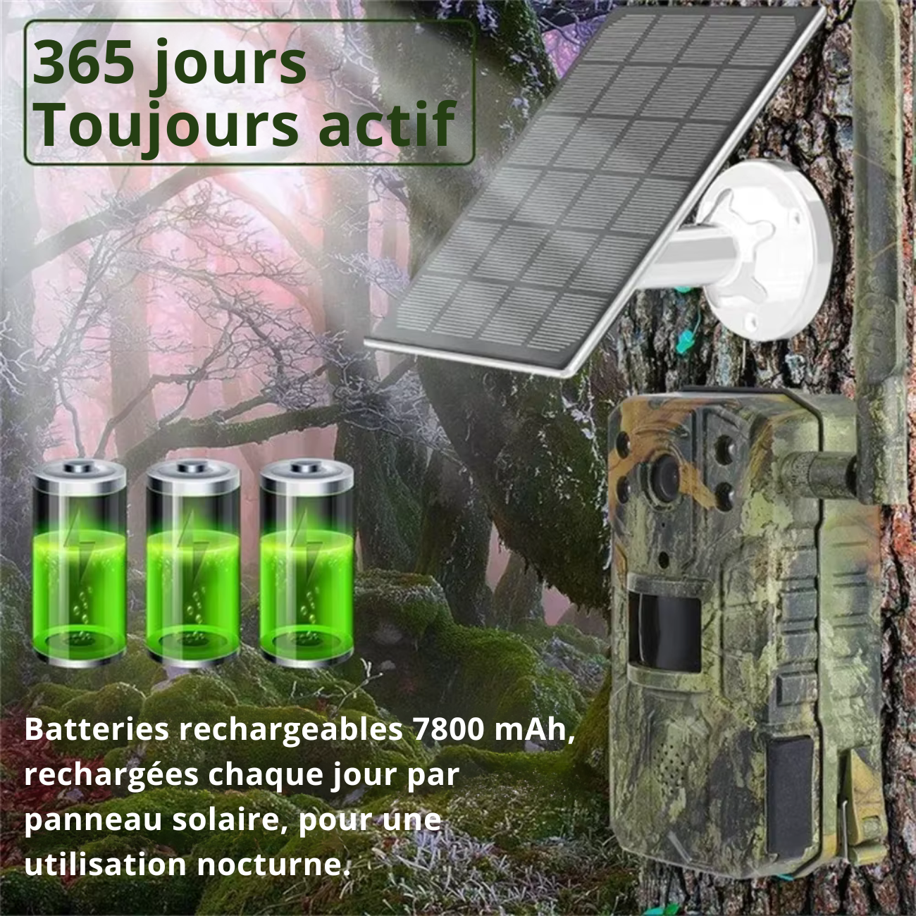 Caméra de Chasse 4G