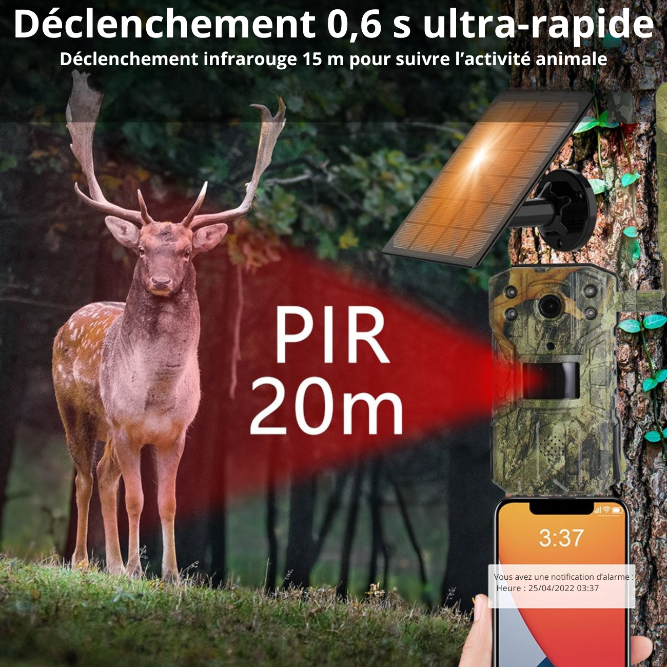 Caméra de Chasse 4G