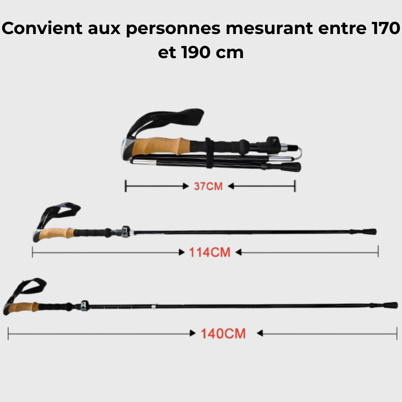 Bâtons de Marche Randonnée en Aluminium