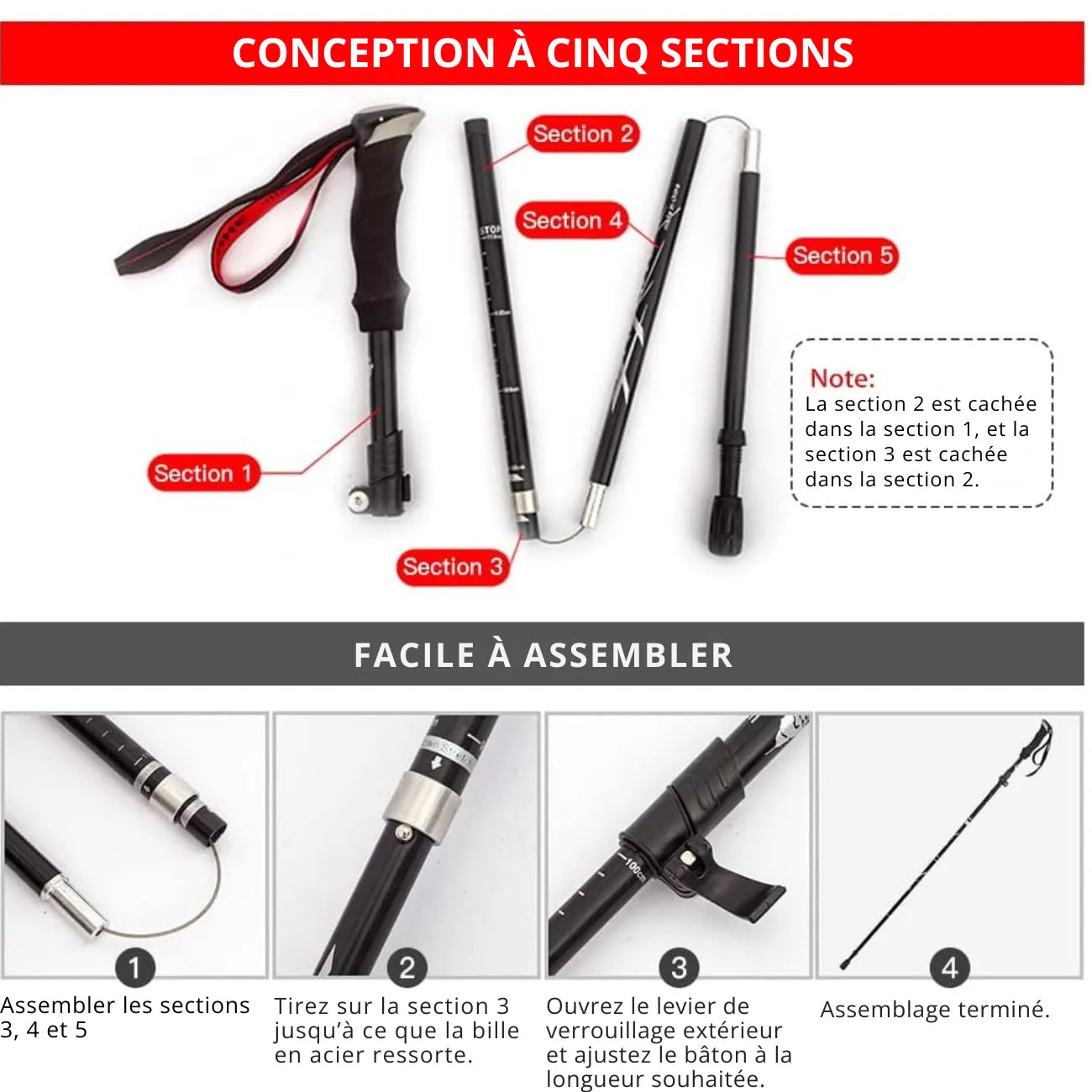 Bâtons de Marche Randonnée