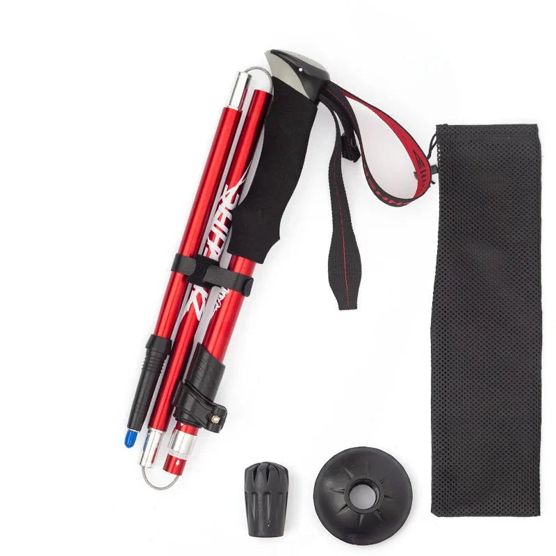 Bâtons de Marche Randonnée - DTYSTORE