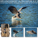 Caméra de Chasse Ultra HD
