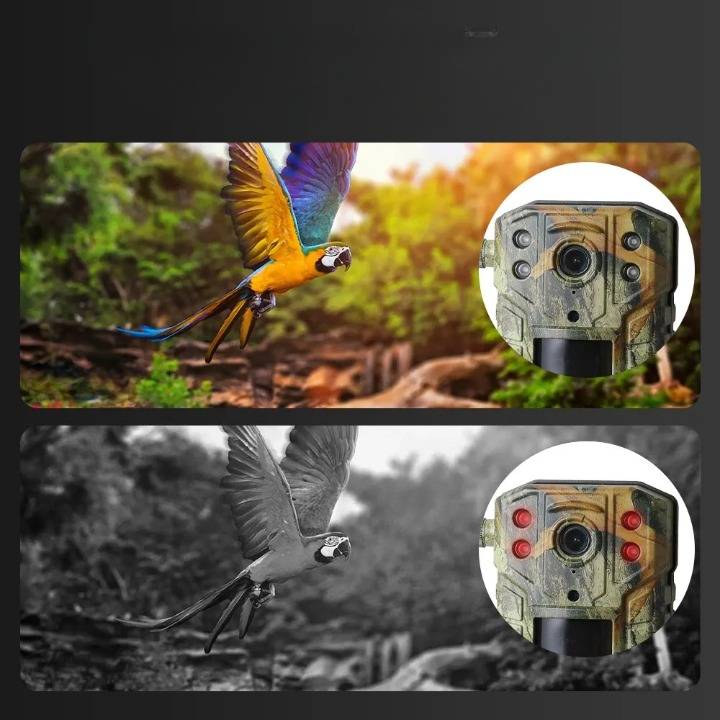 Caméra de Chasse 4G - DTYSTORE