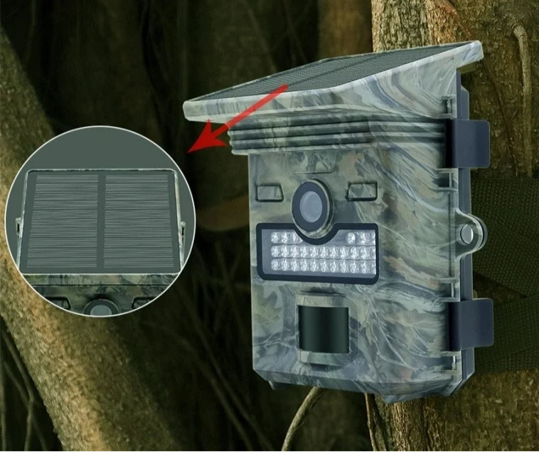 Caméra de Chasse avec Panneau Solaire - DTYSTORE