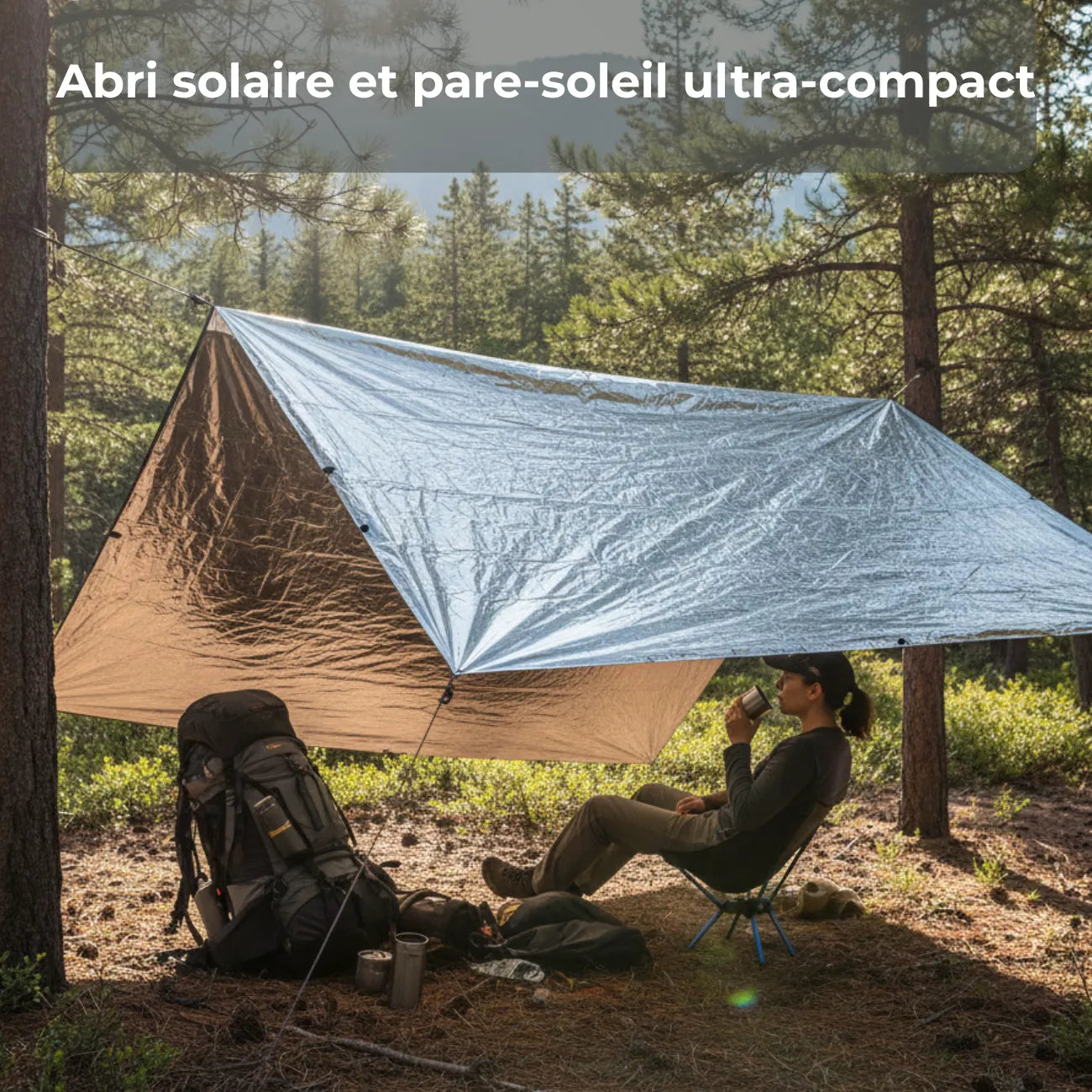 Couverture de Survie Camping