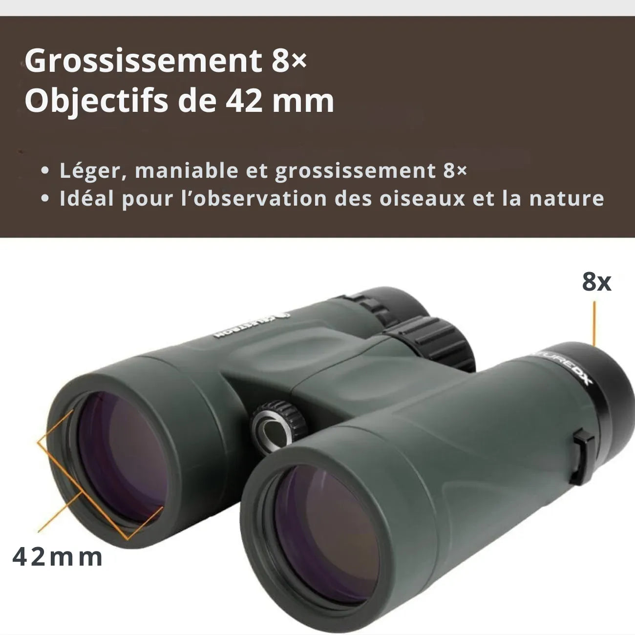 Jumelles de Poche Randonnée