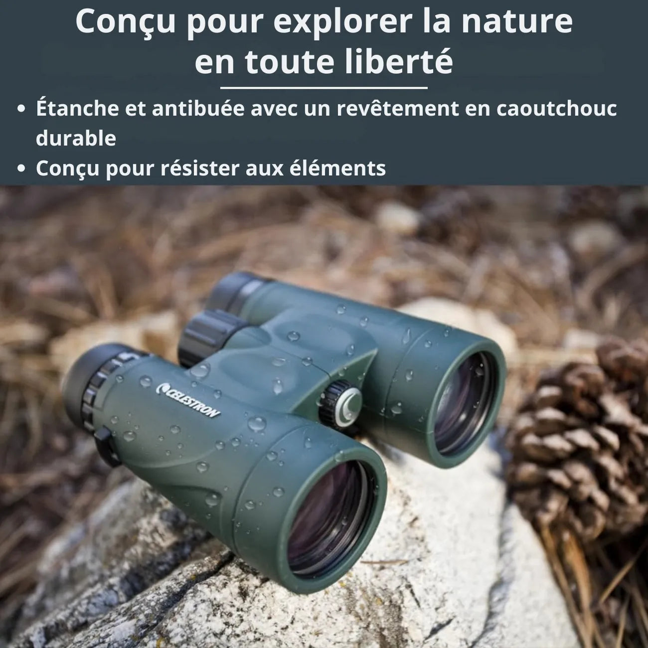 Jumelles de Poche Randonnée