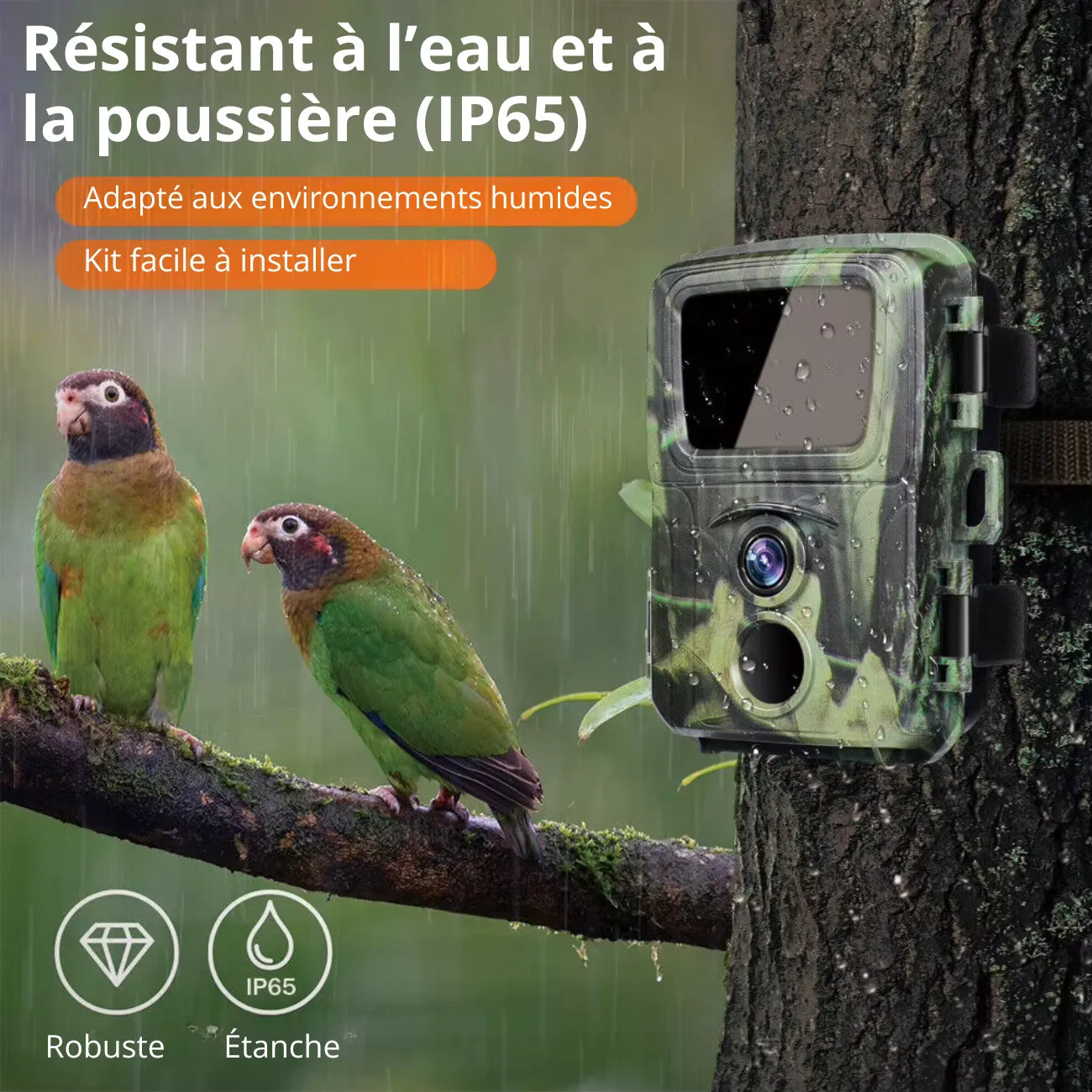 Mini Caméra de Chasse