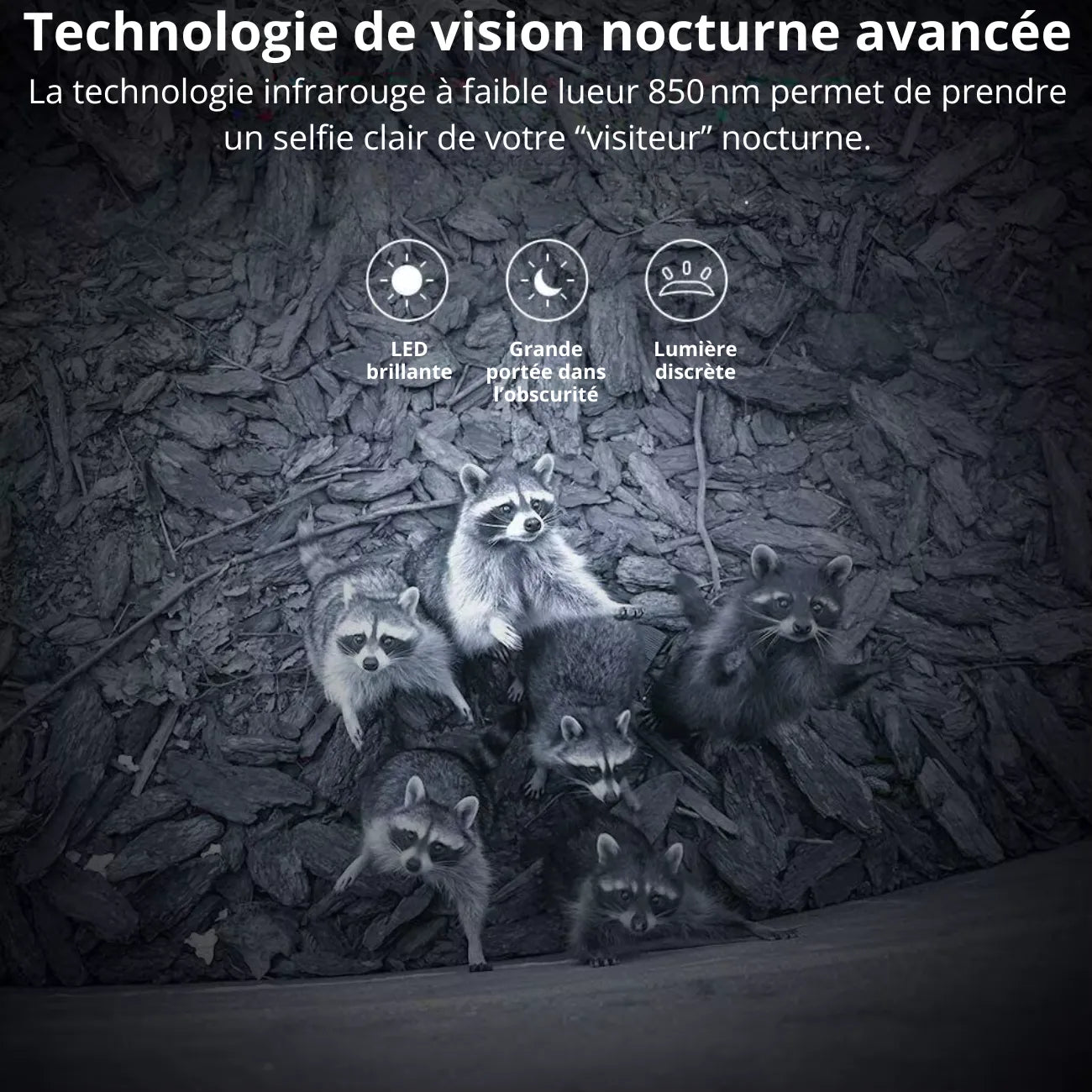 Mini Caméra de Chasse