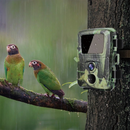 Mini Caméra de Chasse - DTYSTORE