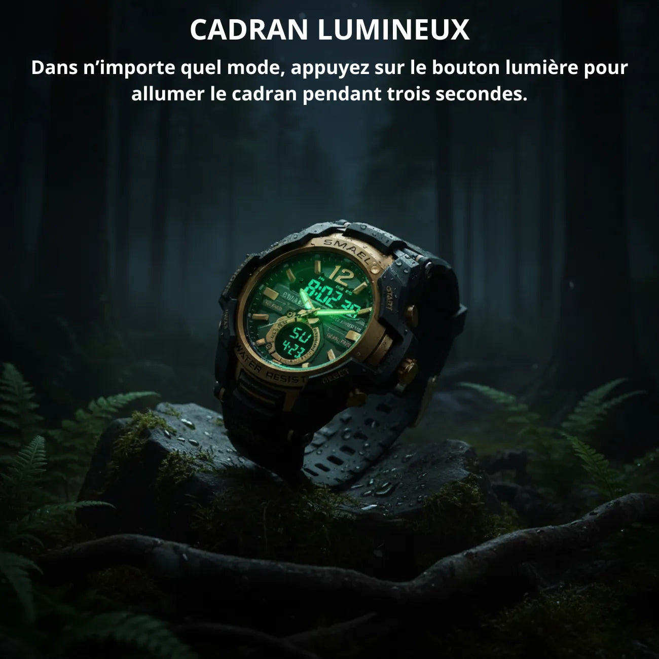 Montre de Randonnée