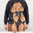 Porte Chien Ventral Randonnée - DTYSTORE