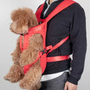 Porte Chien Ventral Randonnée - DTYSTORE