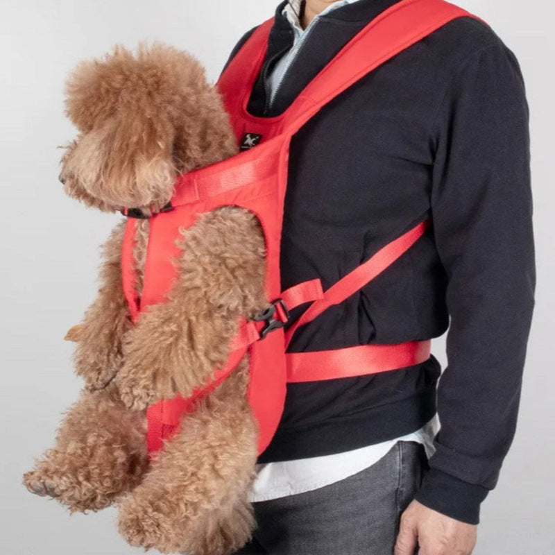 Porte Chien Ventral Randonnée - DTYSTORE