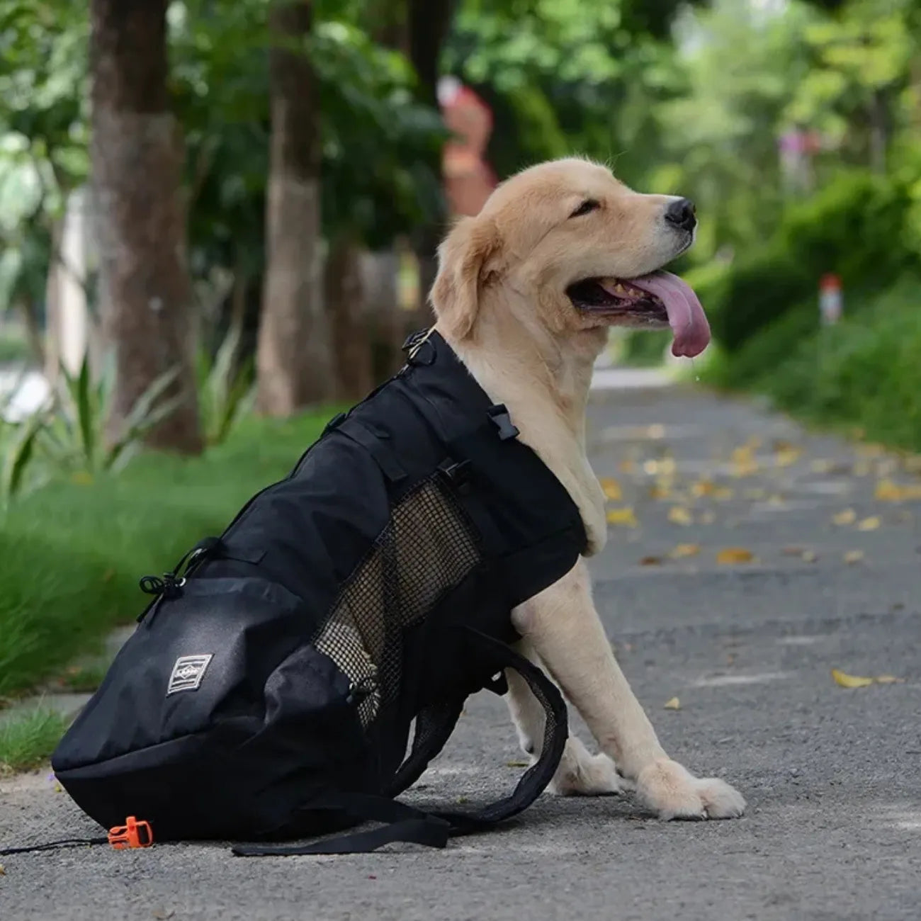 Sac Porte Chien Randonnée