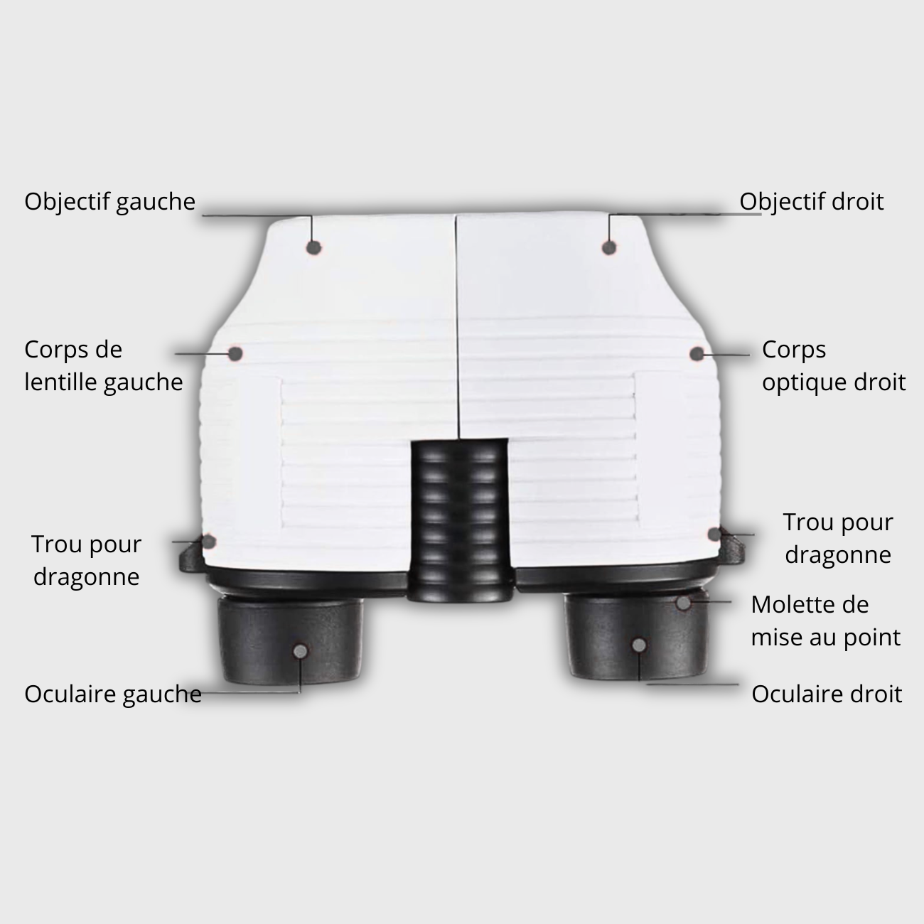 Jumelle Randonnée Montagne